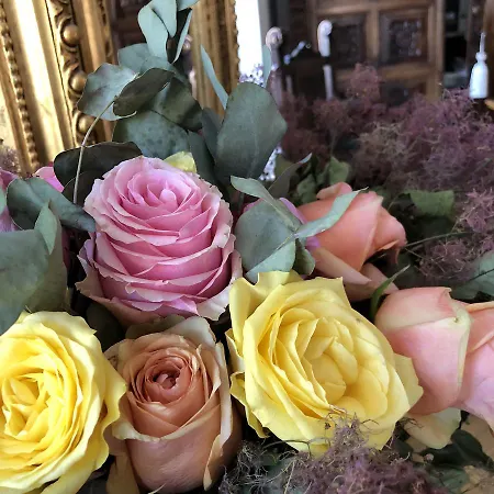 فندق مبيت وإفطار Sarah's Altstadt Oase سالزبورغ